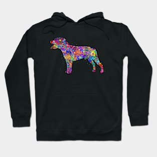 Staffordshire Bull Terrier dog Hoodie